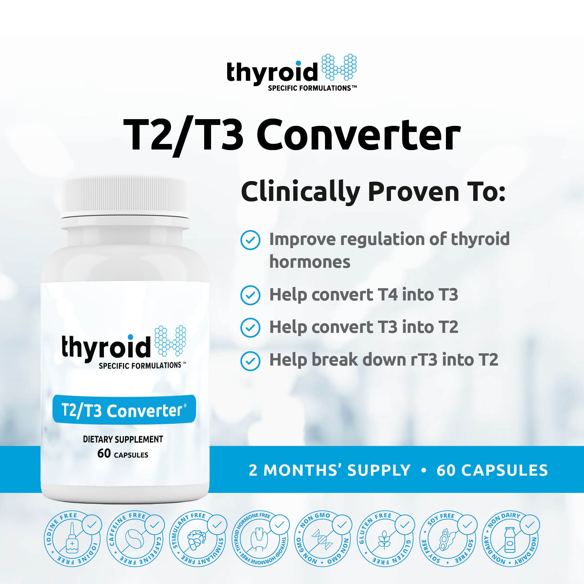 T2/T3 Converter