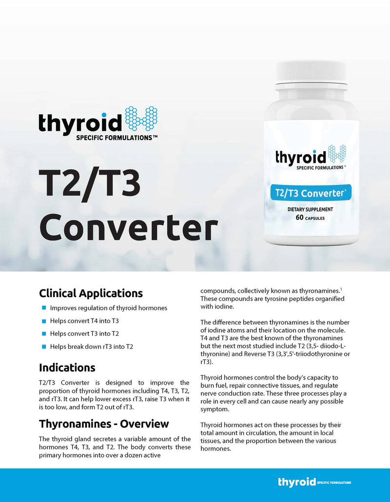 T2/T3 Converter